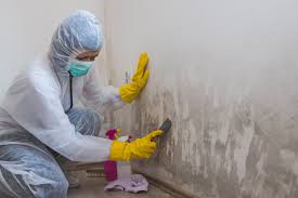 Best Black Mold Removal  in Sharpsville, PA